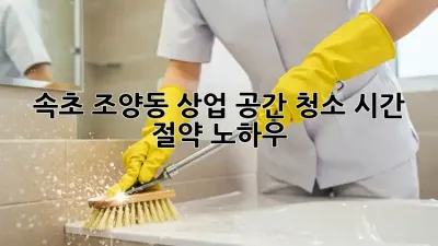 속초 조양동 상업 공간 청소, 시간 절약 노하우!