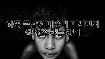하동 금남면 대송리 미세먼지 싹~ 청소하는 방법!